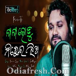 Jaa Jaa Lo Tu Michhei Jhia - Sad Song - Human Sagar